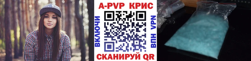 мега как войти Сясьстрой Альфа ПВП СК КРИС
