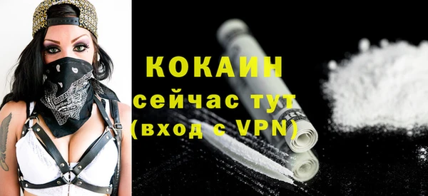 индика Абинск