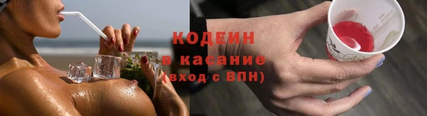 индика Абинск