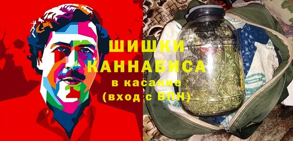индика Абинск