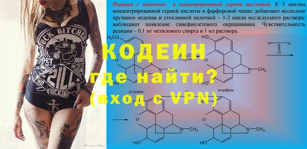 индика Абинск